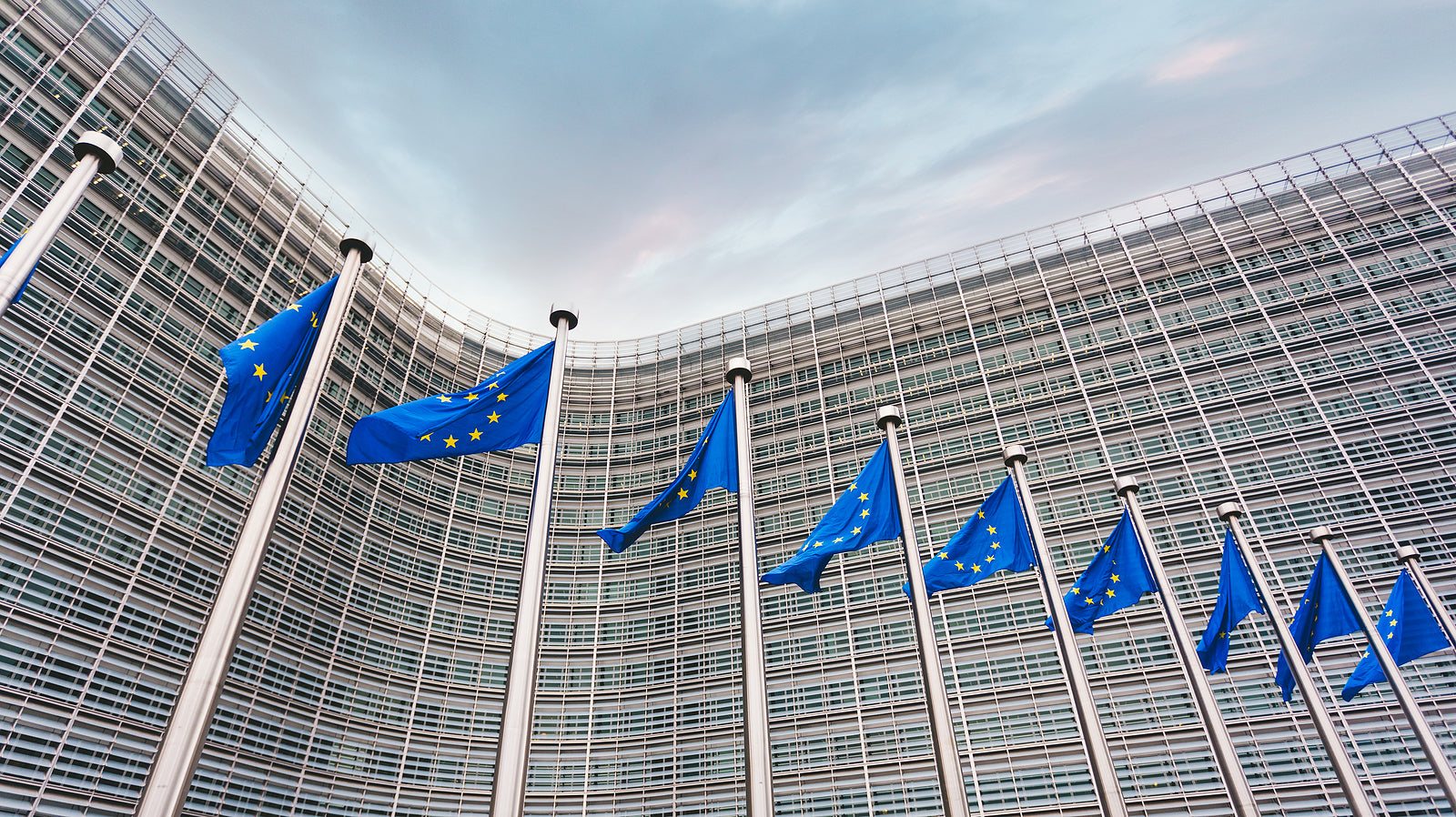 [EU] Minimum wages directive is legal