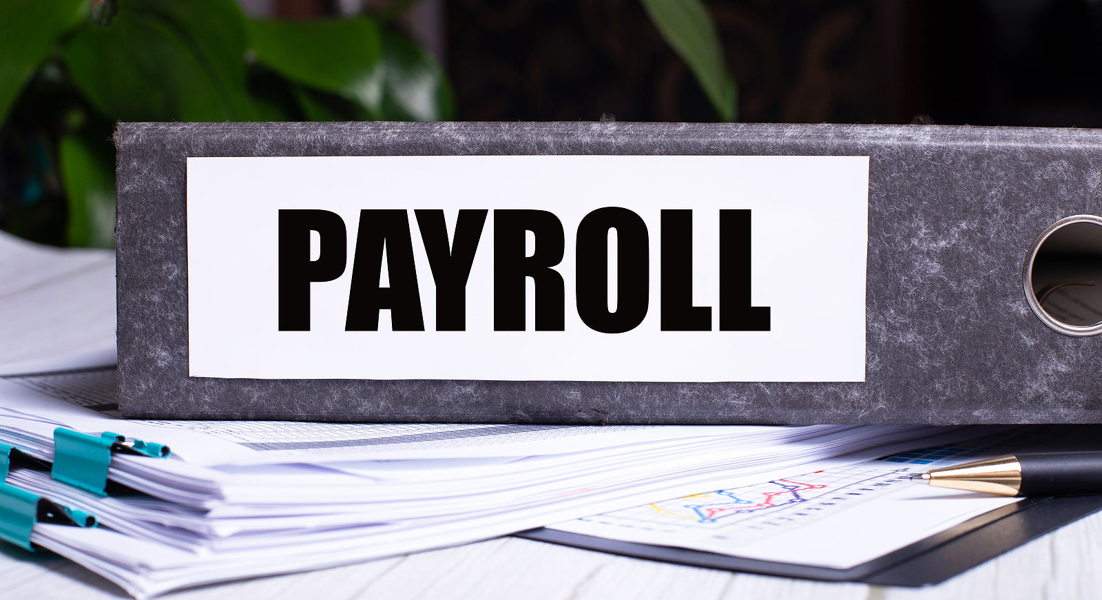 [Australia] Closing Loopholes reforms increase likelihood of payroll errors