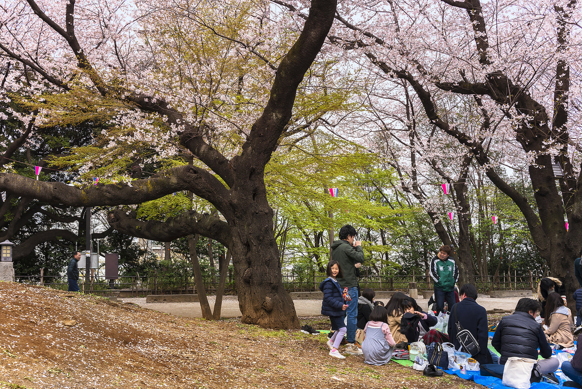 [Japan] Workers took 62 per cent of their paid leave in 2022