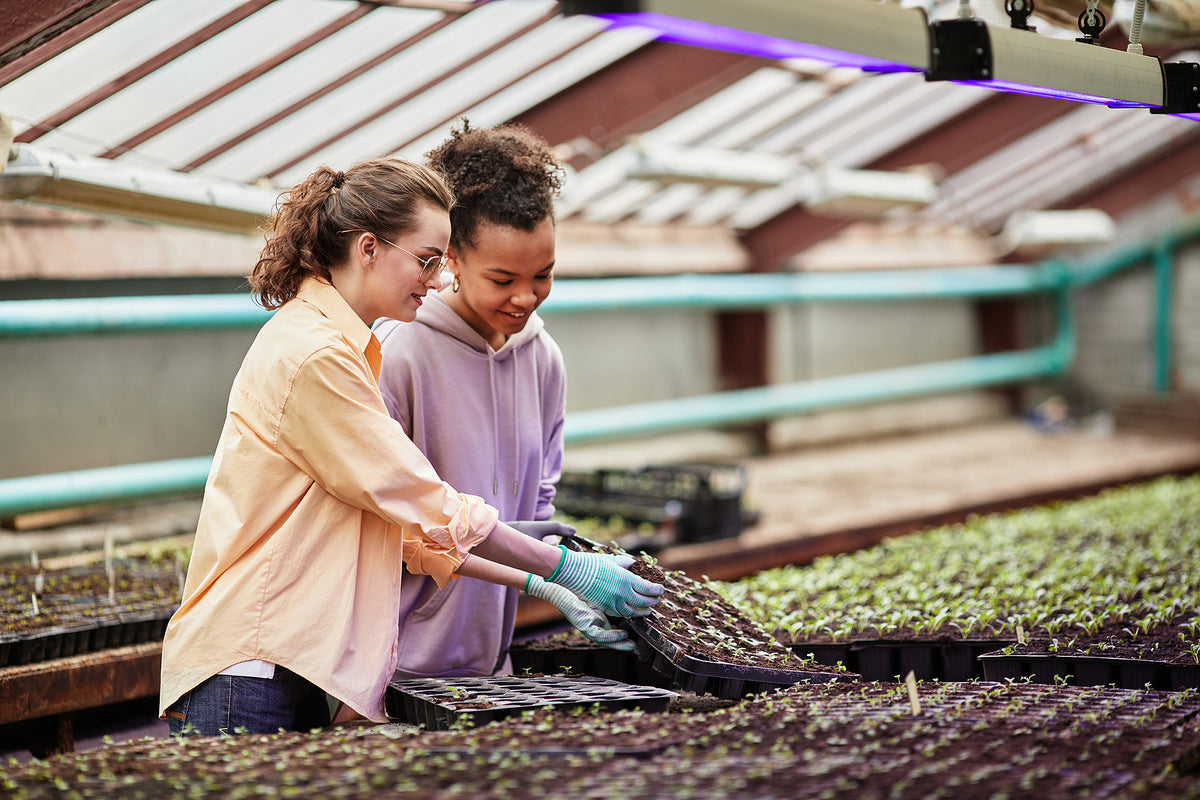 [US] USDA wants government contractor ‘blacklist’ for violations of employment and labour law