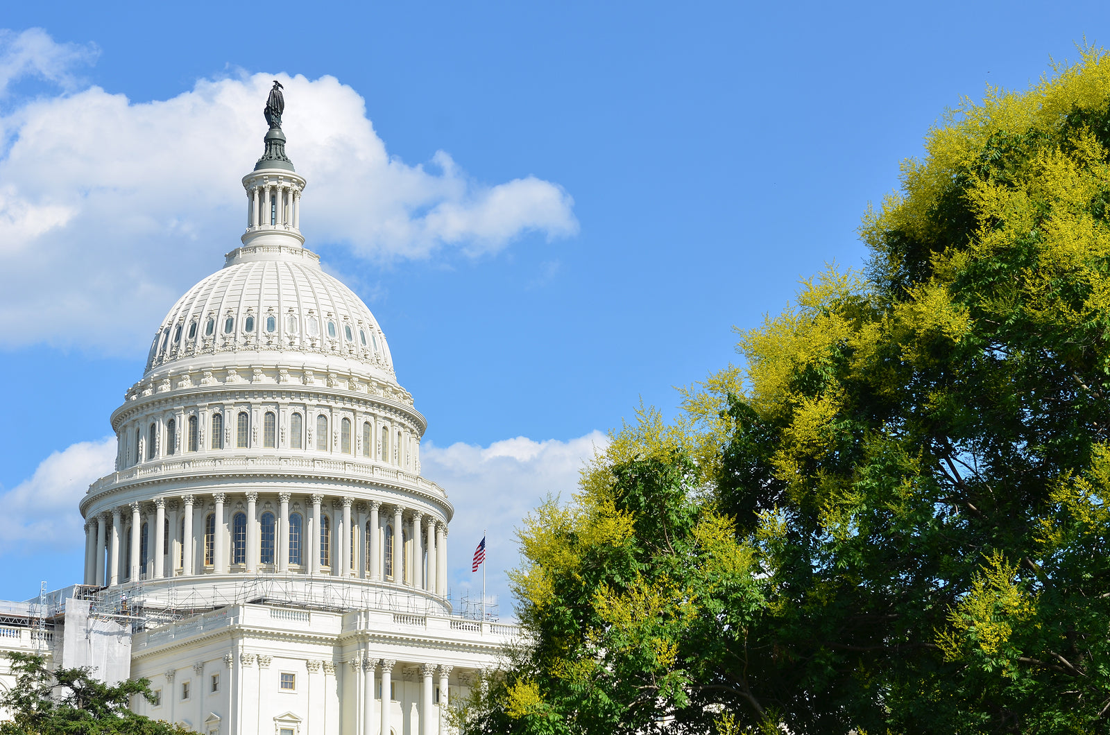 [US] ‘Menu of options’ for next stimulus bill