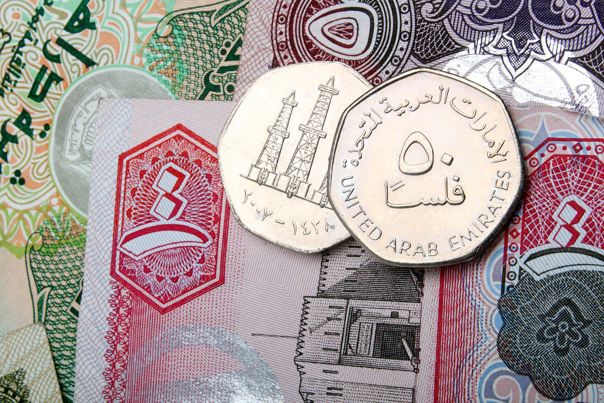[UAE] Minimum wage for Emiratis in private sector rises