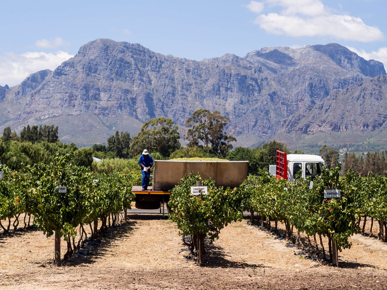 South Africa introduces controversial national minimum wage