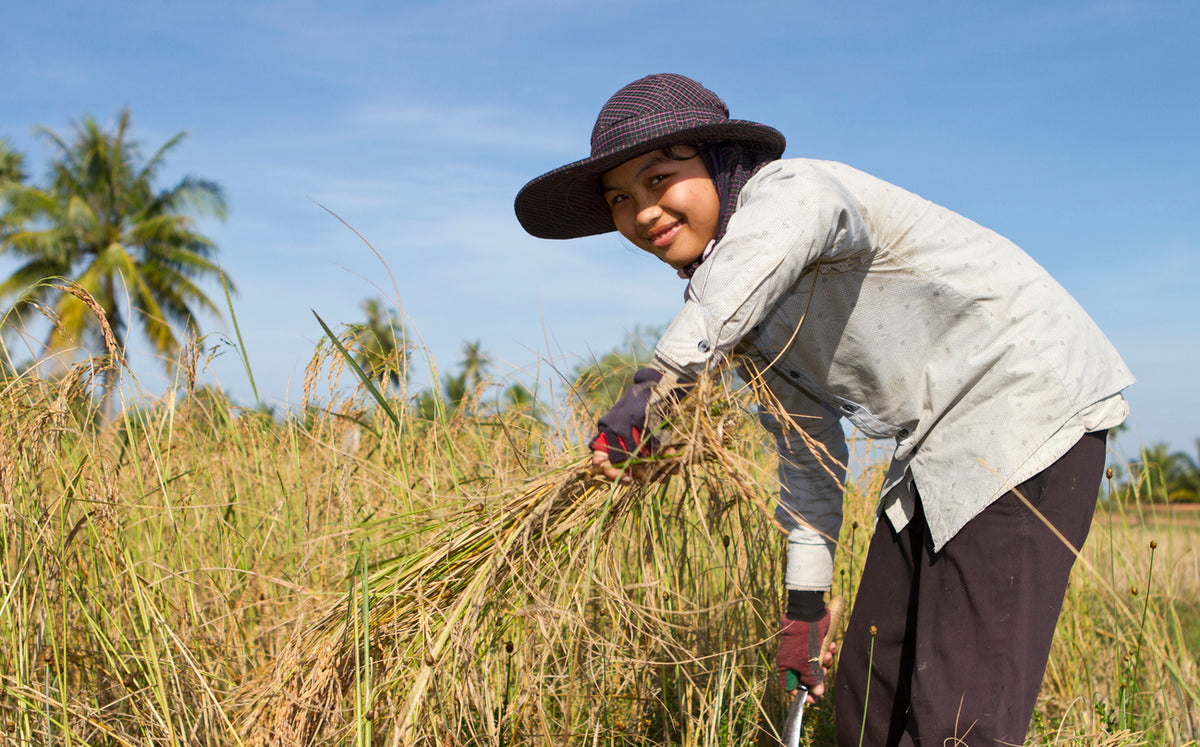 Cambodian workers to be paid twice monthly from next year