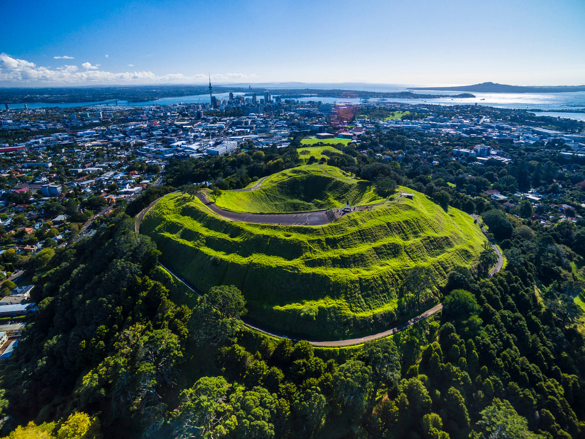 New Zealand government maintains small business payroll management subsidy