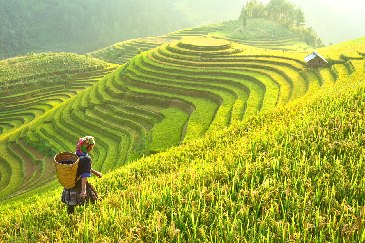 Myanmar introduces controversial new minimum wage