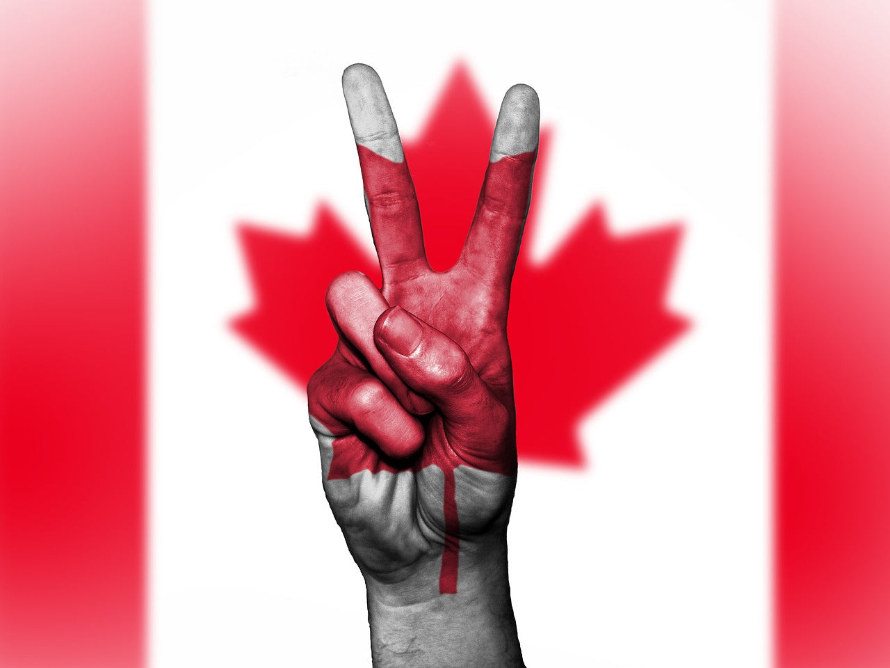 Canadian Revenue Agency to hand over records for tax avoidance probe